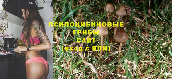 молекула духа Осташков