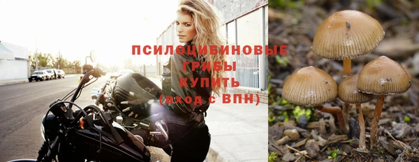 трава Осинники