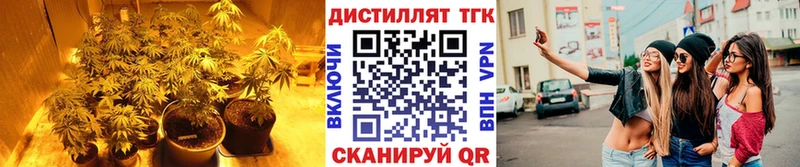 ТГК THC oil купить цена hydra рабочий сайт Белая Калитва