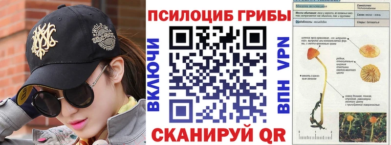 купить наркотик  Белая Калитва  Псилоцибиновые грибы Psilocybine cubensis 